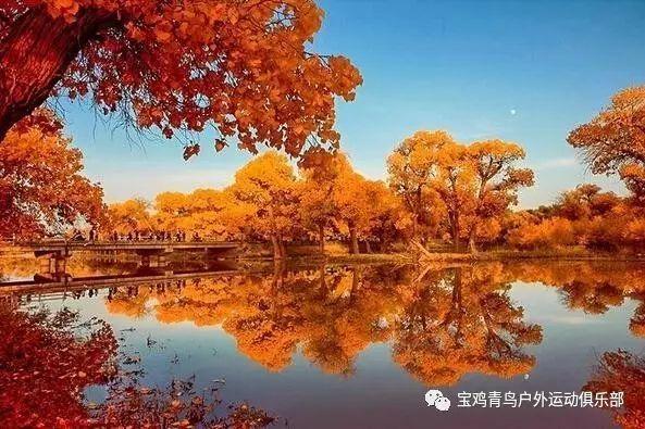 周长三十万米的岛屿有多少平方公里？