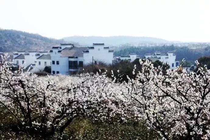 如若巴黎不快乐的演员都有哪些?-专业问答网站,解答你的疑问